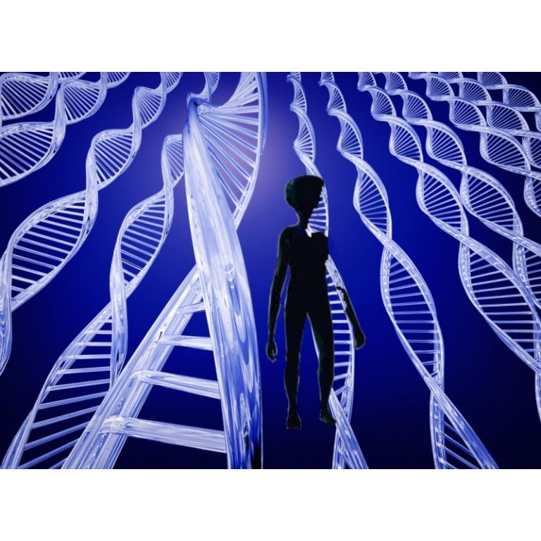 Genes extraterrestres en ADN humano.