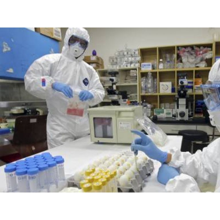 Desarrollan nueva estrategia contra H1N1