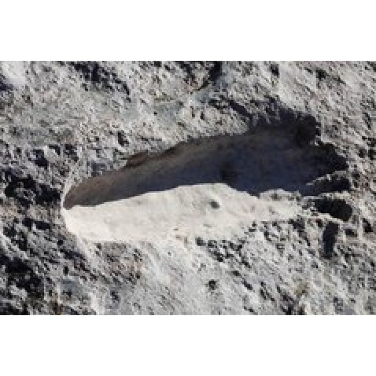 Descubren antiguas huellas humanas en México