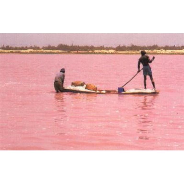 Los lagos rosados