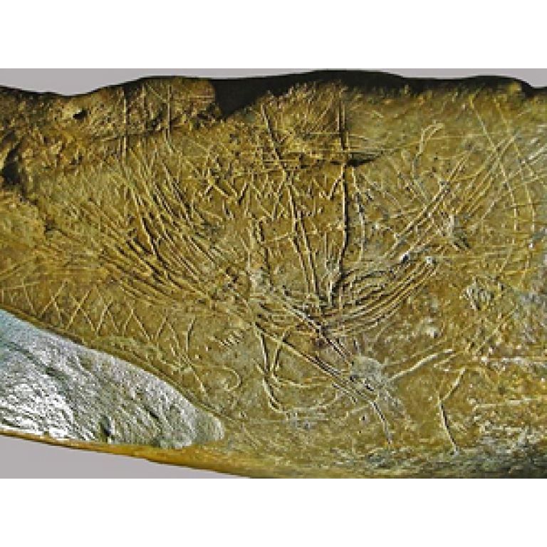 Los humanos del Paleolítico dibujaban mapas y dominaban la perspectiva