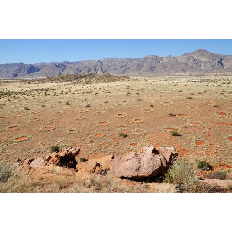 Los misteriosos “círculos de las hadas” en Namibia