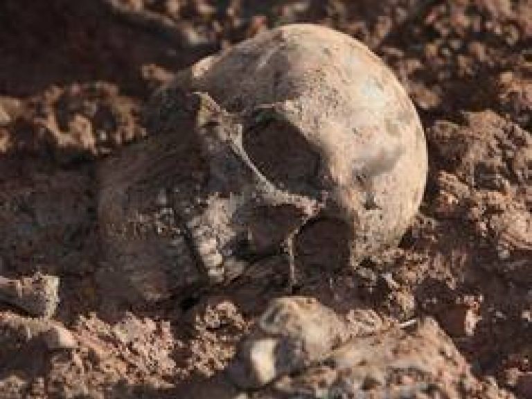 Un cerebro encontrado en Armenia podra ser el ms antiguo jams descubierto.