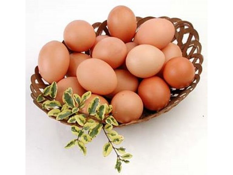 Qu contiene el cascarn de un huevo?