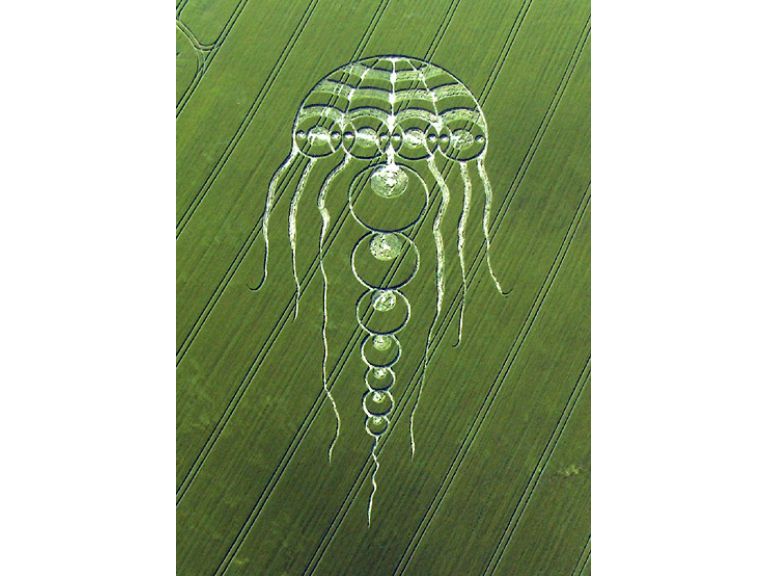 Un enorme dibujo de una medusa encontrada en un campo de Inglaterra.