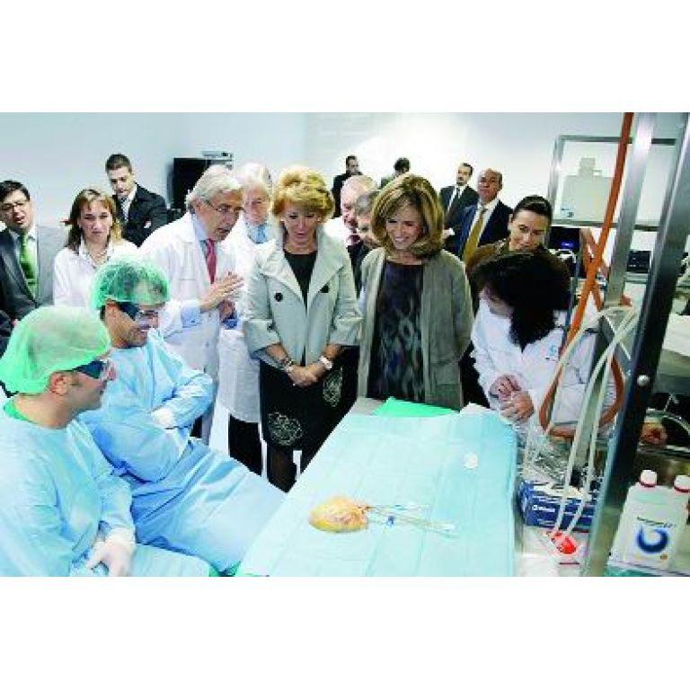 España: Crearán órganos bioartificiales para trasplantes