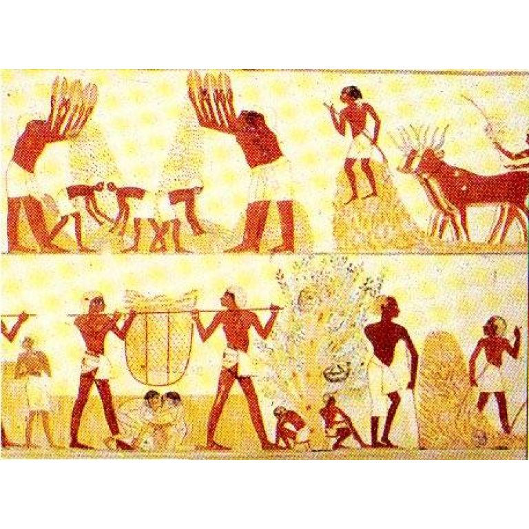La vida en el antiguo Egipto