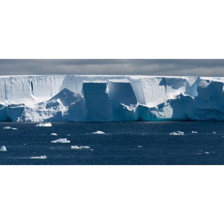 La pérdida de glaciares en la Antártida Occidental parece imparable