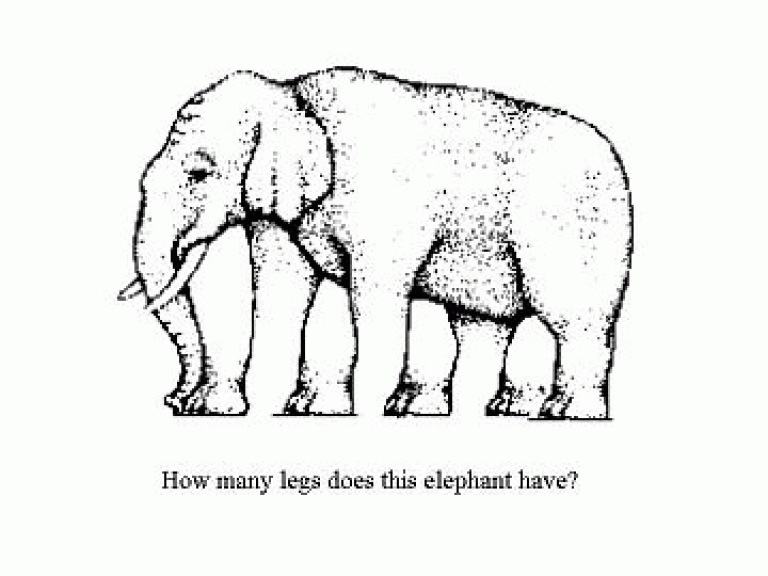 Las patas del elefante.